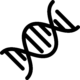 2Bac svt S.PC